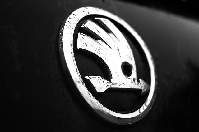 skoda_auto